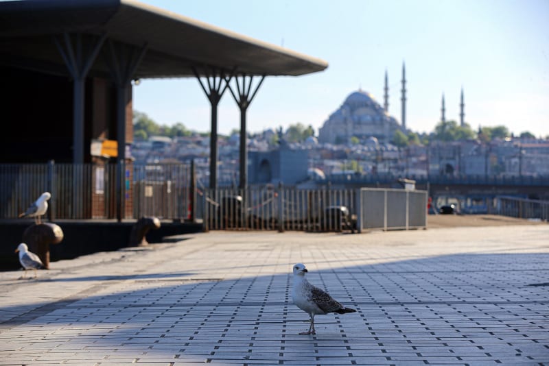 Стамбул стал примером для всего мира в борьбе с COVID-19