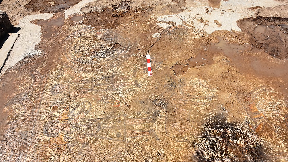 На юго-востоке Турции обнаружили древнюю мозаику