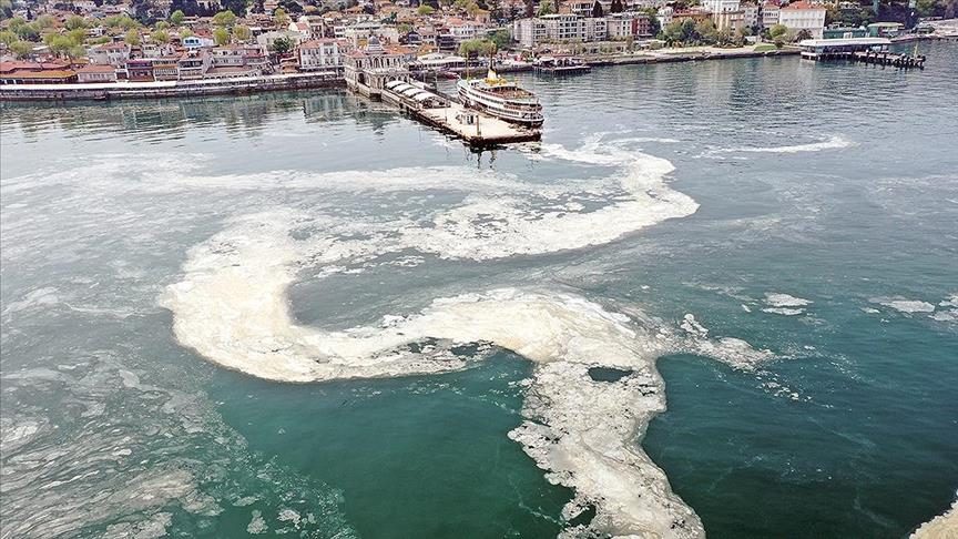 Ученые планируют превратить отходы, вызывающие морскую слизь, в новый источник энергии в Турции