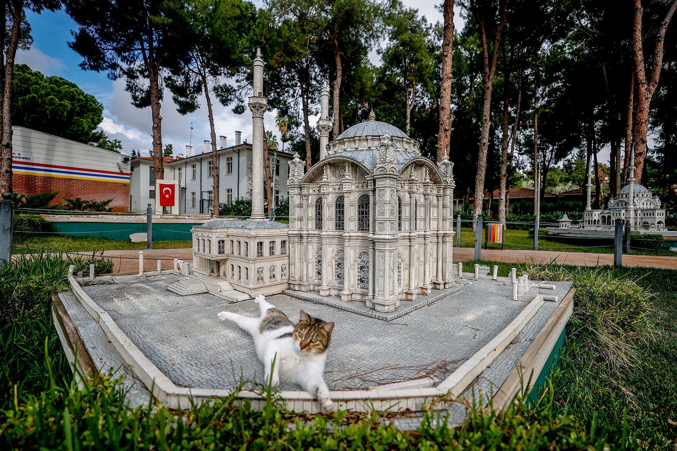 Кошки &#171;захватили&#187; парк миниатюр в турецкой Анталии