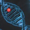 Researchers discover gene variant that protects against severe COVID-19