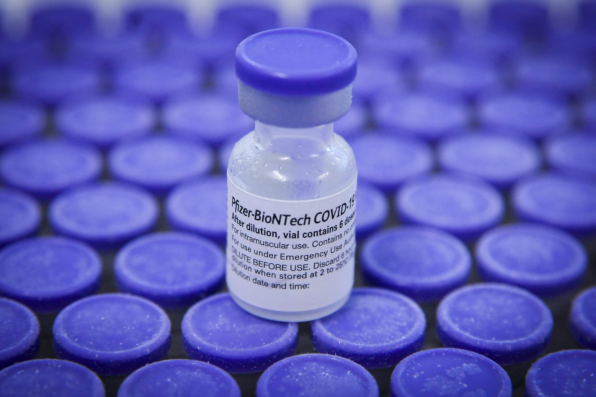 Pfizer/BioNTech начинает клинические испытания вакцины против омикрона